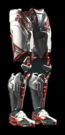 Aves Legs