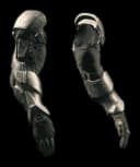 Testudo Arms Purgatory Camo