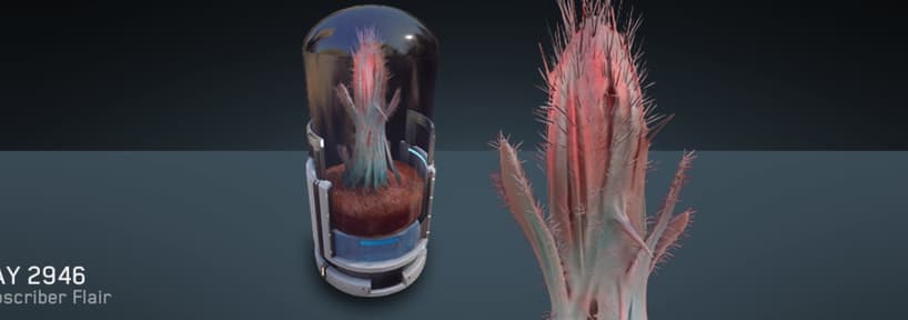 Space Cactus Kavische